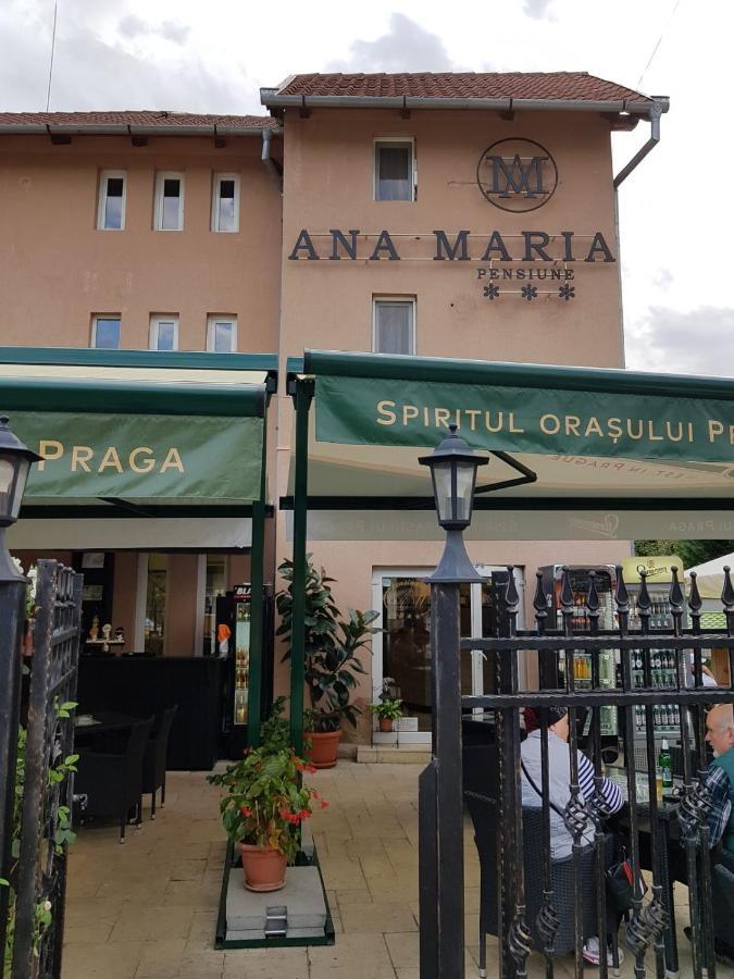 Pensiunea Ana Maria Băile Felix Εξωτερικό φωτογραφία
